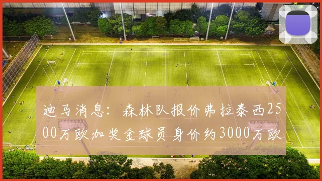 迪马消息：森林队报价弗拉泰西2500万欧加奖金球员身价约3000万欧